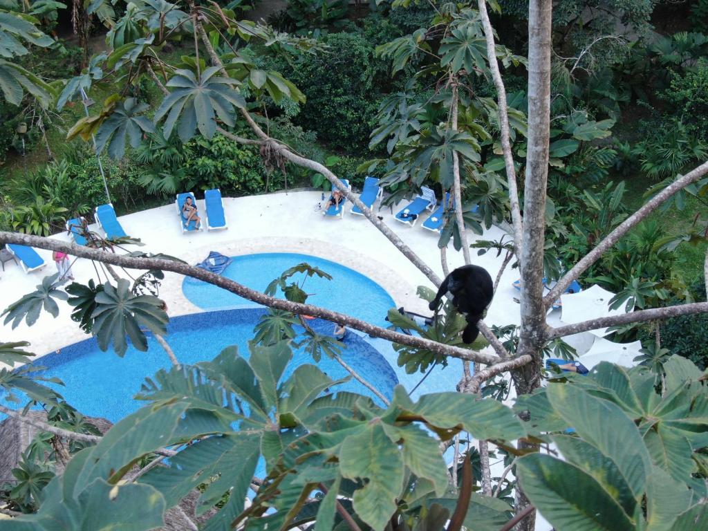 Bazén v ubytování Cariblue Beach and Jungle Resort nebo v jeho okolí