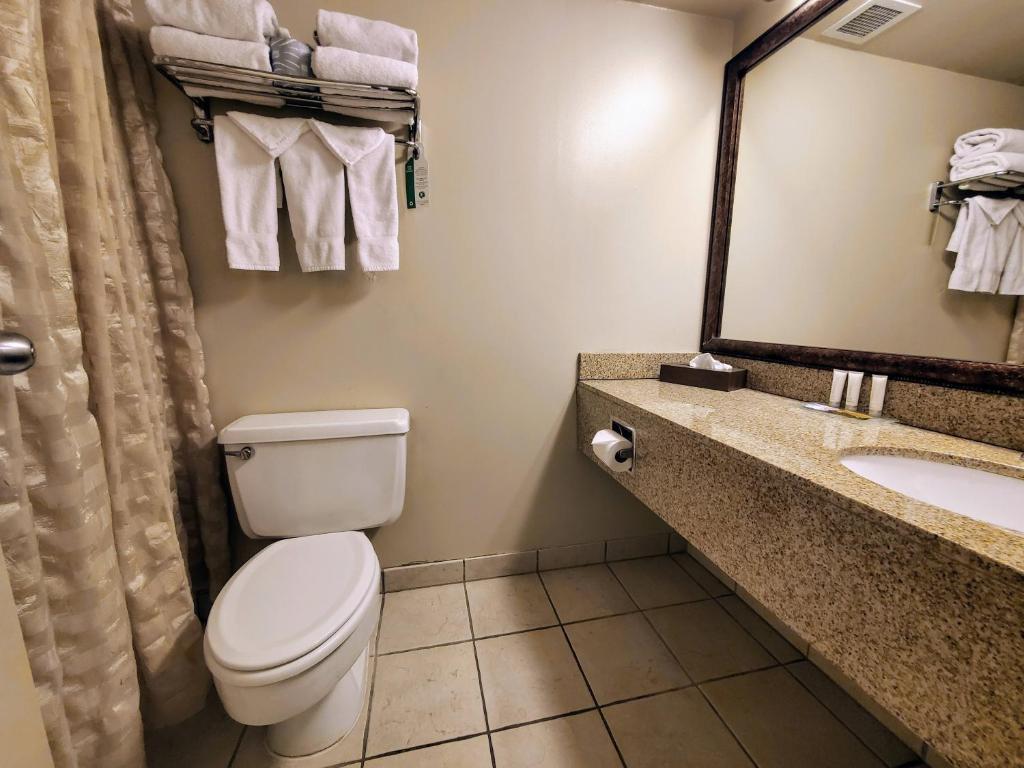 Ramkota Hotel Watertown - King Room Met Bankbed