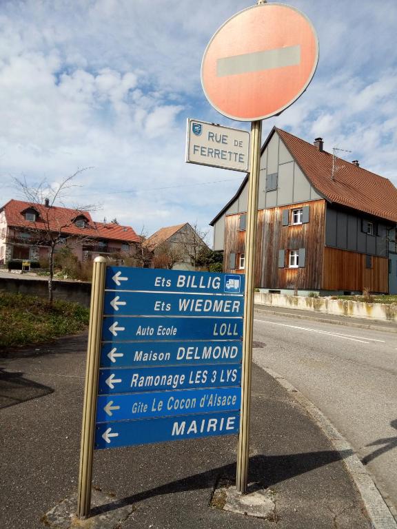 Fotografie z fotogalerie ubytování Le Cocon d'Alsace v destinaci Folgensbourg