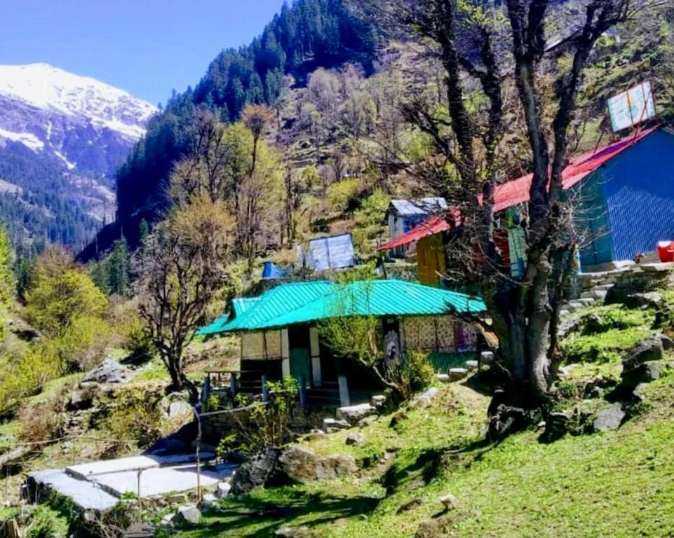 AYOYA Malana Resort - Shiva Cafe - отзывы и видео