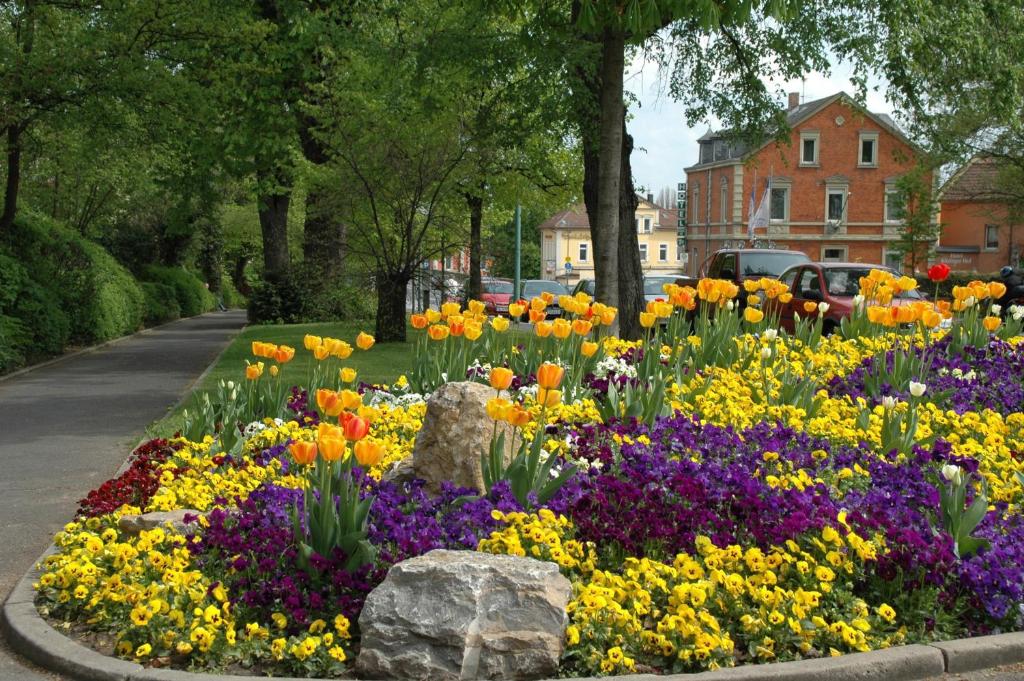 Zahrada ubytování Hotel Kitzinger Hof an der B8