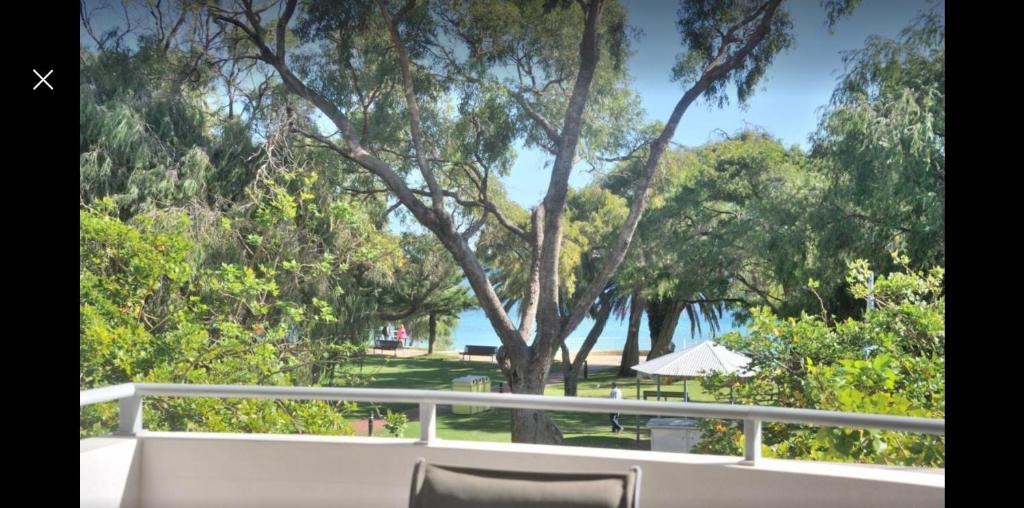a balcony with a view of a park with trees at Beachfront at Nautilus in Rockingham
