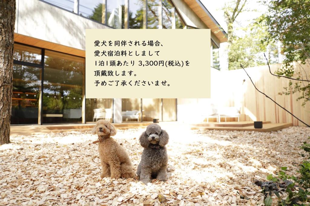two teddy bears sitting in front of a sign at Regina Resort Kyukaruizawa in Karuizawa
