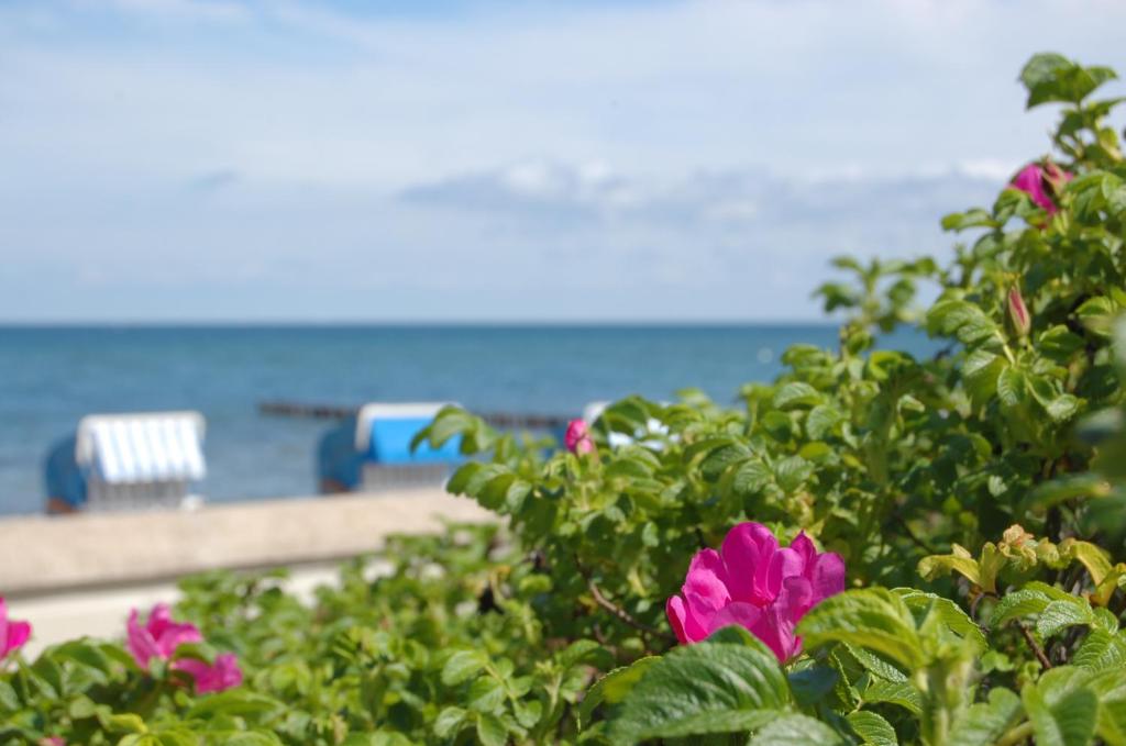 Ferienwohnungen am Strand - Strandvilla Belvedere