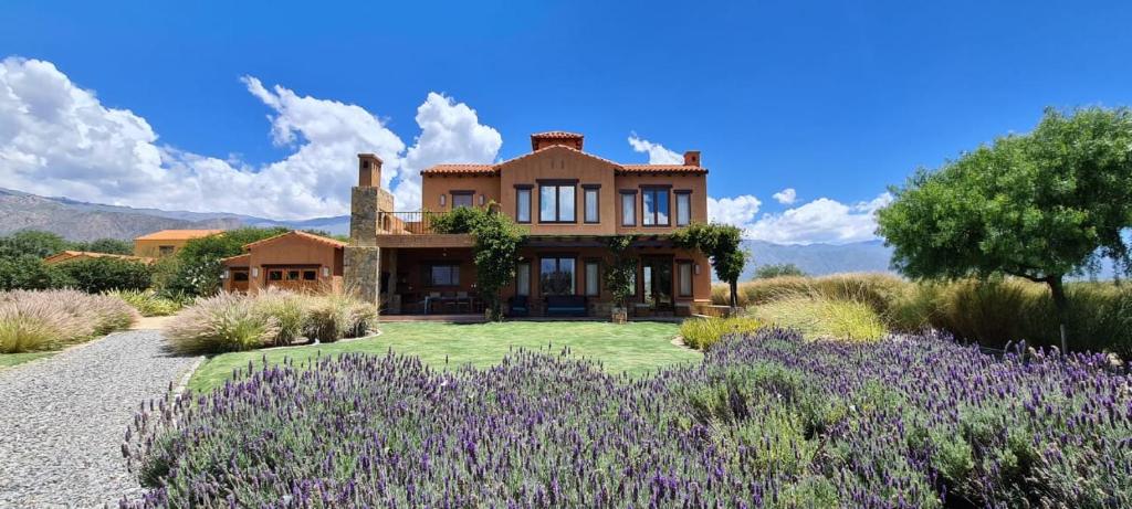 Cafayate – Fotografije 2