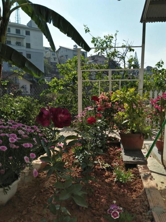 a garden with flowers and a white fence at Nhà của Sóc in Da Lat