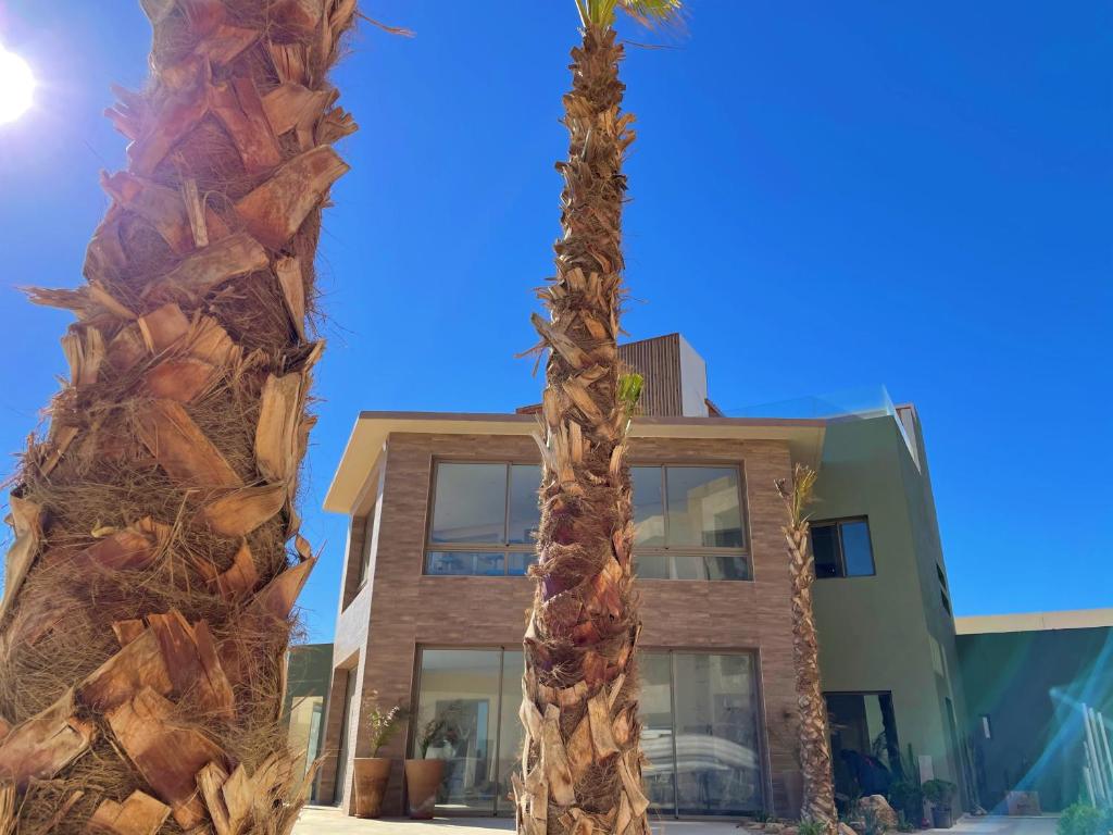 a palm tree in front of a building at Dakhla South Bay in Dakhla
