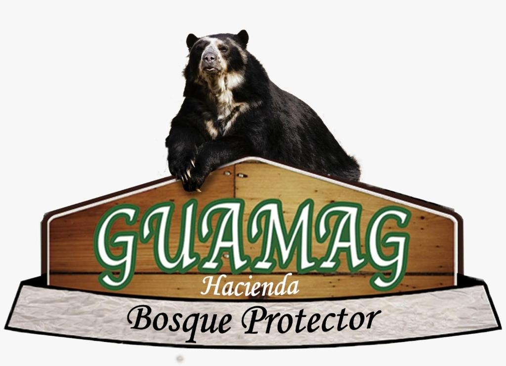 un oso sentado encima de una señal en Bosque Protector Hacienda Guamag, en Baños