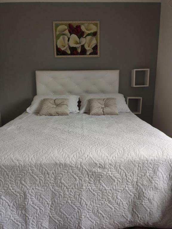 Amber 449 Hospedagem  Amber 449 Hospedagem