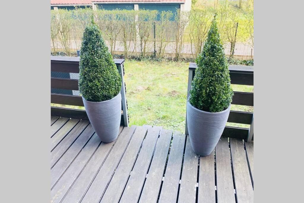 two large vases with trees in them sitting on a deck at Proche Golf Appartement 4pers avec parking piscine tennis in Neufchâtel-Hardelot