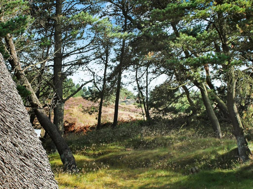 un gruppo di alberi in un campo erboso di 6 person holiday home in R m a Rømø Kirkeby