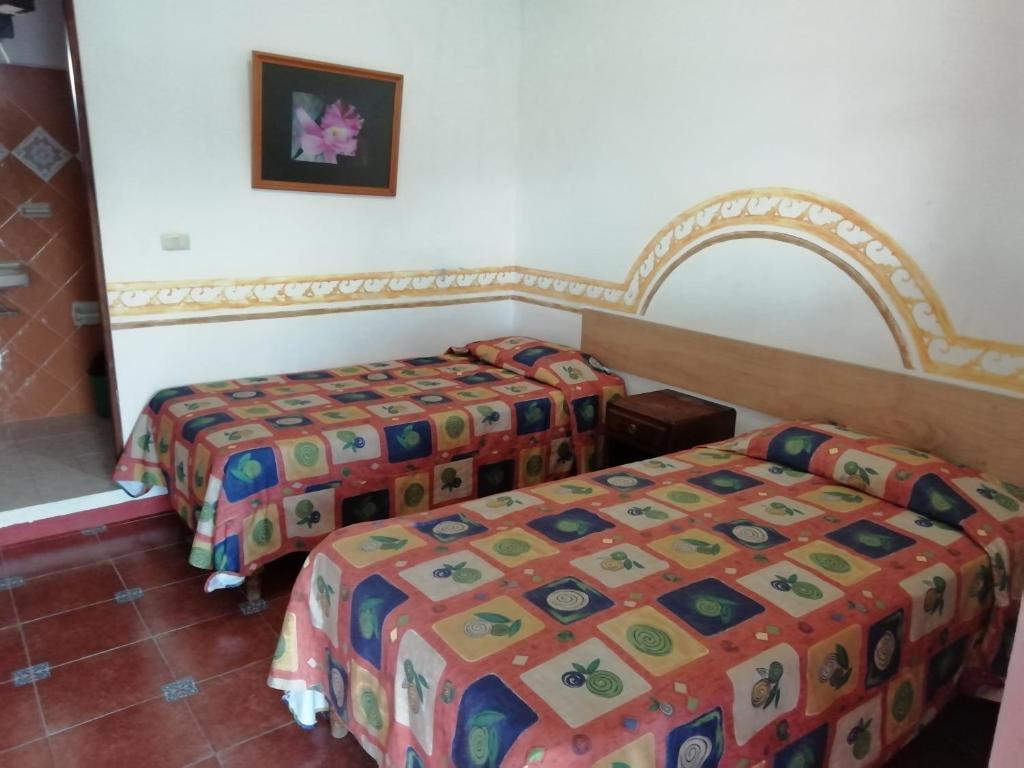 Postel nebo postele na pokoji v ubytování Posada Los Naranjos
