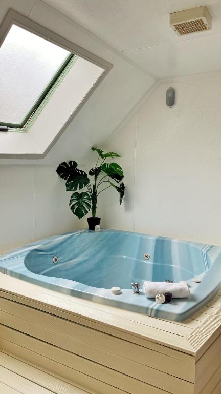 Rotorua Coachman Spa Motel - Resim 28