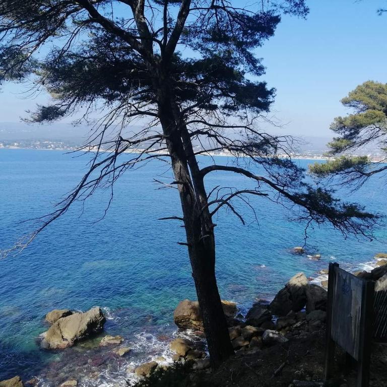 Gallery image of Clos Victor spacieux 2 pièces in Toulon