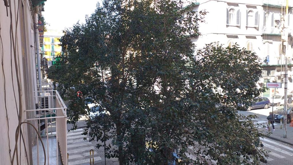 Hotel Vittorio Veneto Napoli - Resim 30