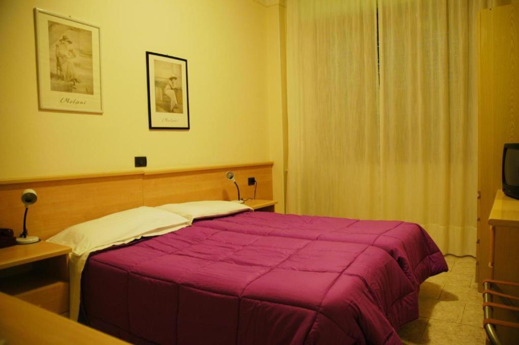 Postel nebo postele na pokoji v ubytování Hotel Flowers