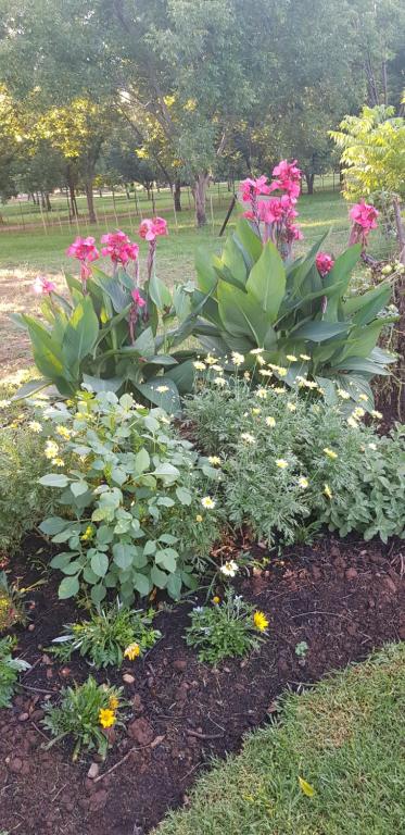Millstream Inn guest house - Apartment With Garden View