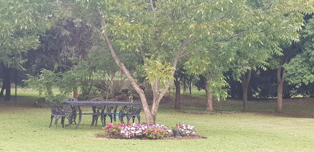 Millstream Inn guest house - Apartment With Garden View