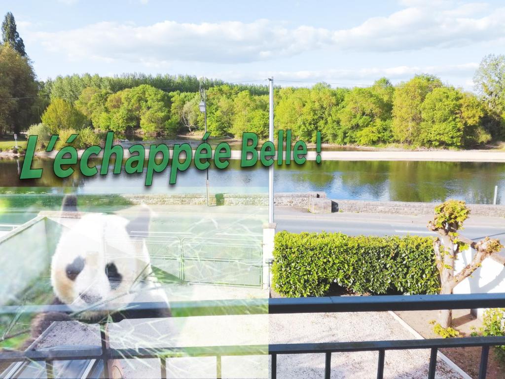 un reflejo de un perro en la ventana de una tienda en Gîte L'échappée Belle !, en Saint-Aignan