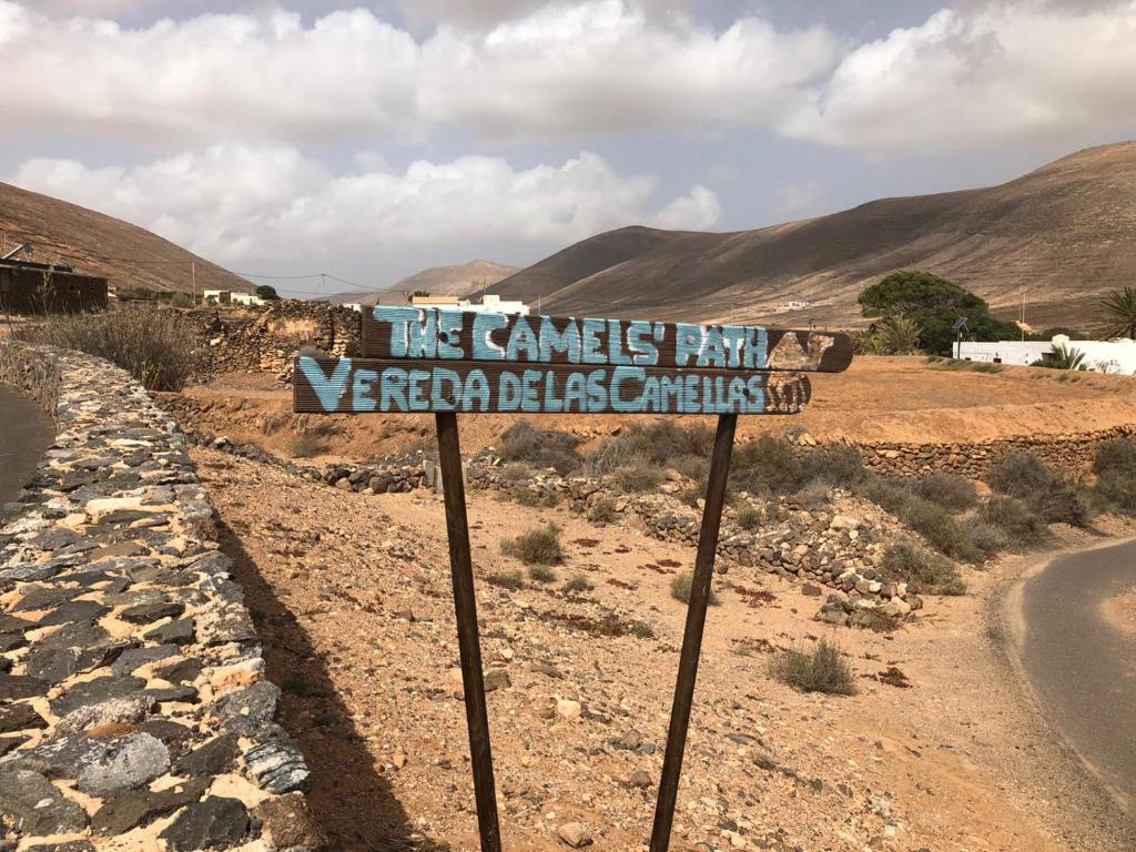 Vereda de Las Camellas, Puerto del Rosario (precios actualizados 2026)
