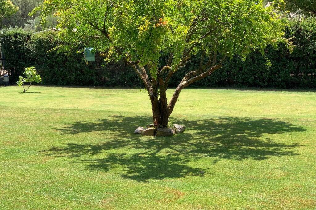 A garden outside Casa Chia a 5 minuti dal mare - Su Giudeu Tuerredda
