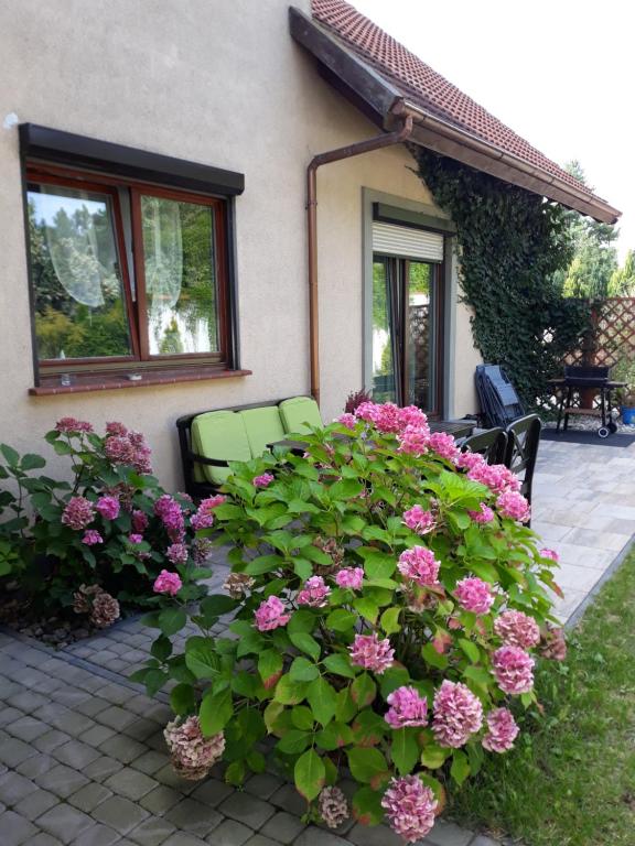 Vonkajšia záhrada v ubytovaní Apartament Leśna