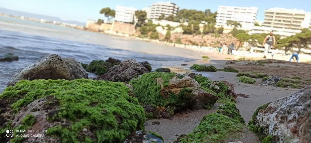 Fotografia z galérie ubytovania Apartamento en la playa Salou v destinácii Salou