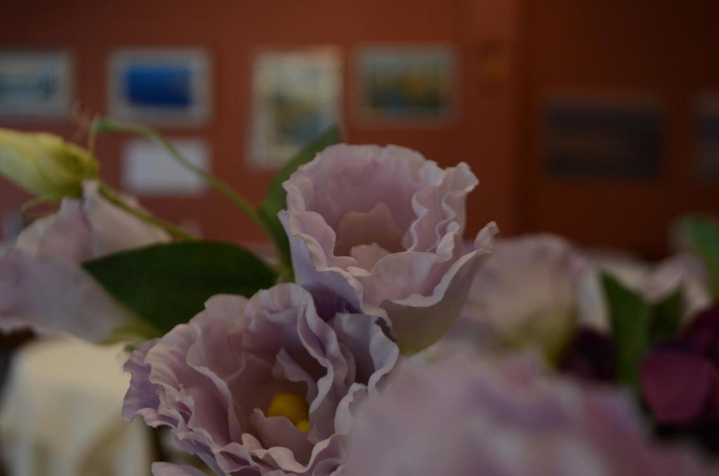 Fotografie z fotogalerie ubytování Hotel Boston v destinaci Cesenatico