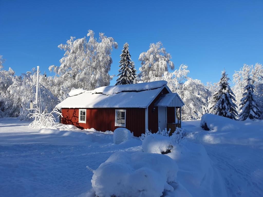czerwona kabina na śniegu z pokrytymi śniegiem drzewami w obiekcie Guesthouse 'Lodge Lagom' ~ Hammarstrand-Jämtland w mieście Hammarstrand
