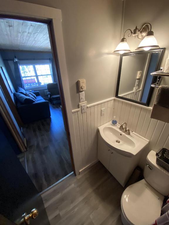 a bathroom with a toilet and a sink and a mirror at The Pines Motel and Cottages in Rustico