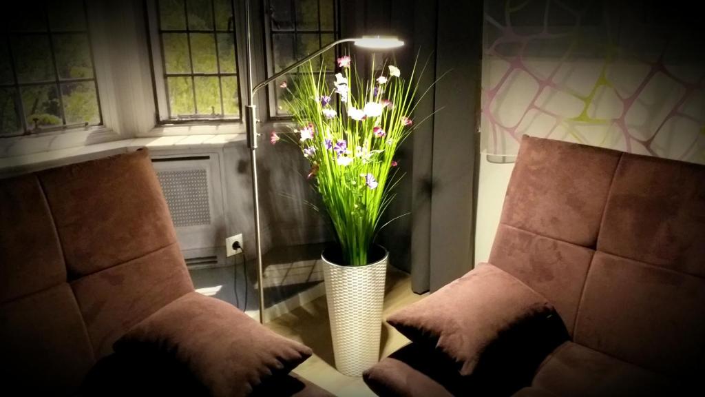 Apartmani Peyton - 15