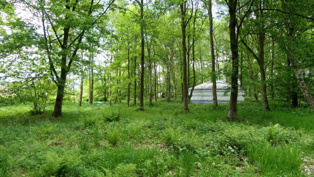 un iglú en medio de un bosque en Soulpath en Sint-Katelijne-Waver