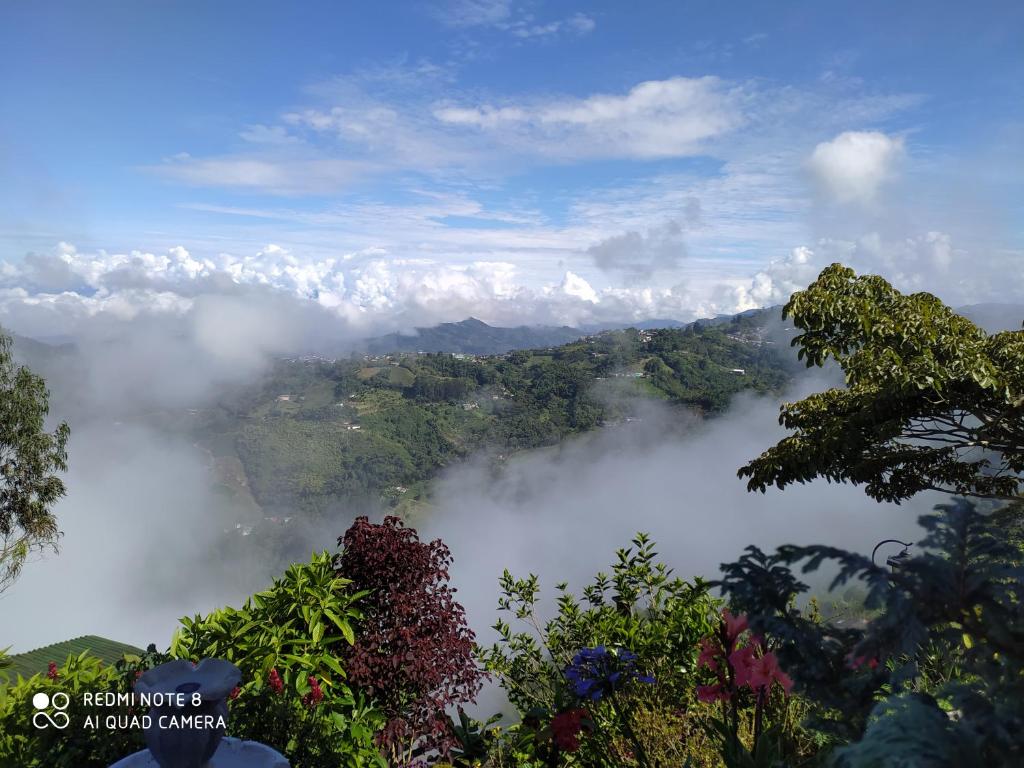 Un paisaje natural cerca of the bed and breakfast