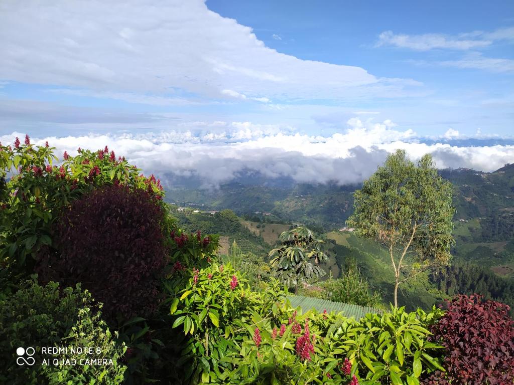 Un paisaje natural cerca of the bed and breakfast