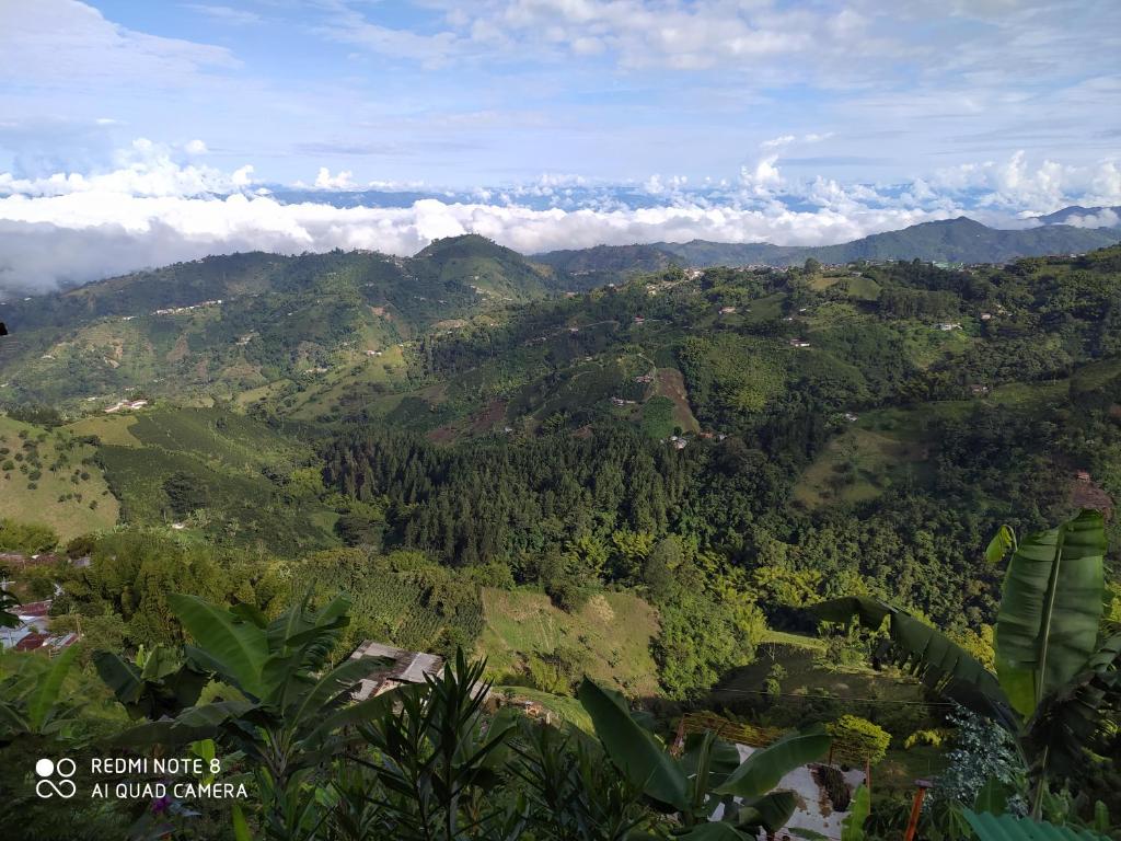 Un paisaje natural cerca of the bed and breakfast