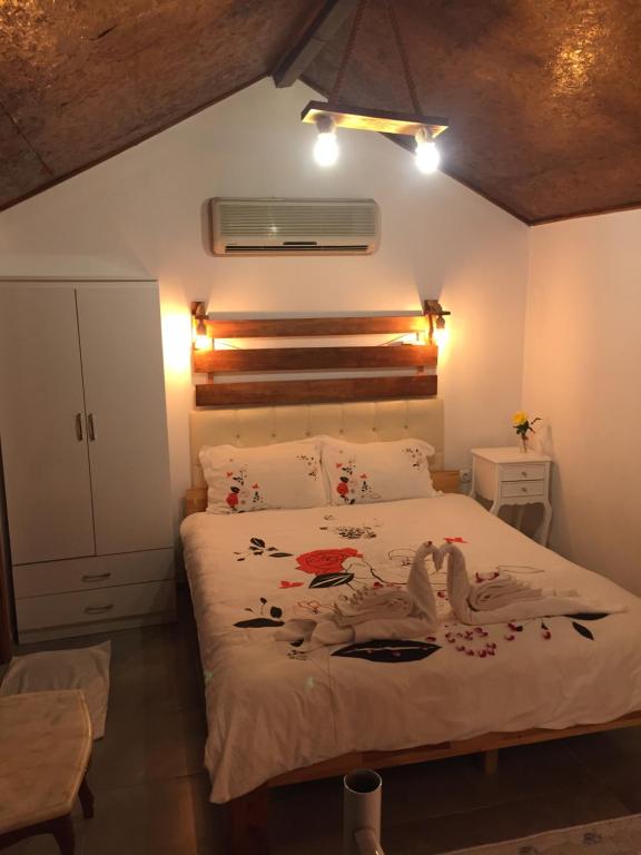 Canario Bungalows - 7