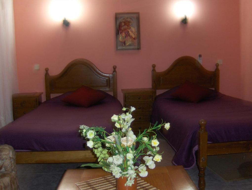 Vila Sodré Guest House - 19