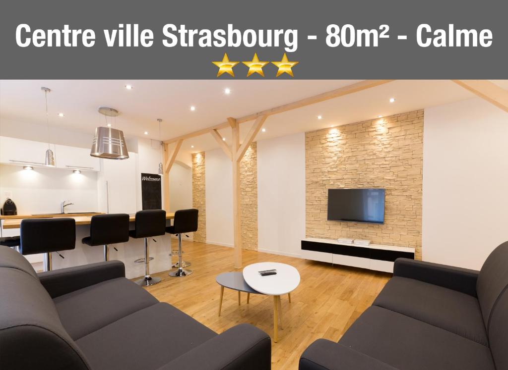 un soggiorno con divano e TV di Le Faubourg - Apt 3étoiles, Centre Ville, Calme, Spacieux a Strasburgo