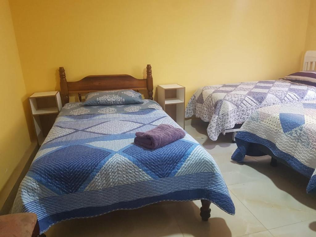1 Schlafzimmer mit 2 Einzelbetten in einem Zimmer in der Unterkunft Anexo Golden in Cochabamba