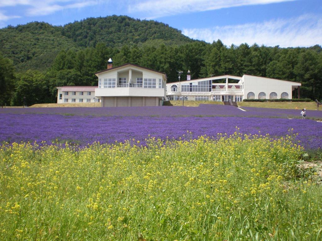 pole purpurowych kwiatów przed budynkiem w obiekcie Highland Furano w mieście Furano