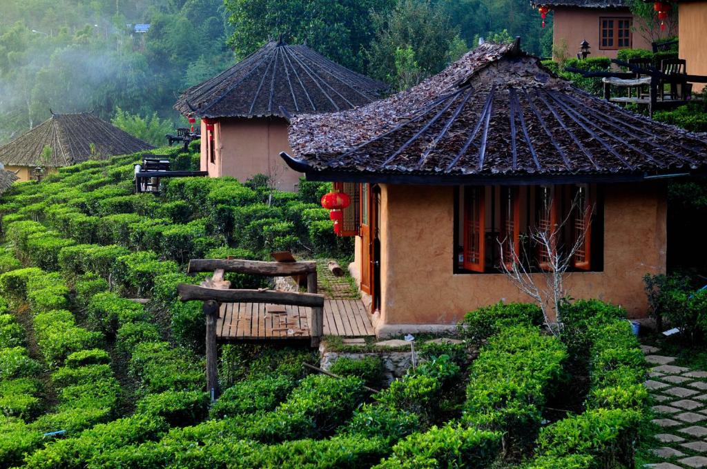 uma pequena casa num campo de arbustos verdes em Lee Wine Ruk Thai Resort em Ban Rak Thai