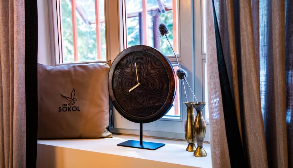 Fotografie z fotogalerie ubytování Villa Sokol v destinaci Borovec