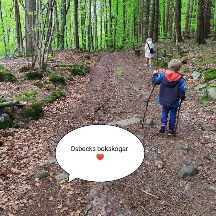 Hosté ubytování Laholms Vandrarhem