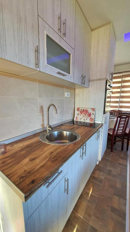 Köök või kööginurk majutusasutuses Apartmani Dunja Zlatar