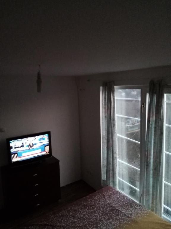 TV a/nebo společenská místnost v ubytování Ripanj