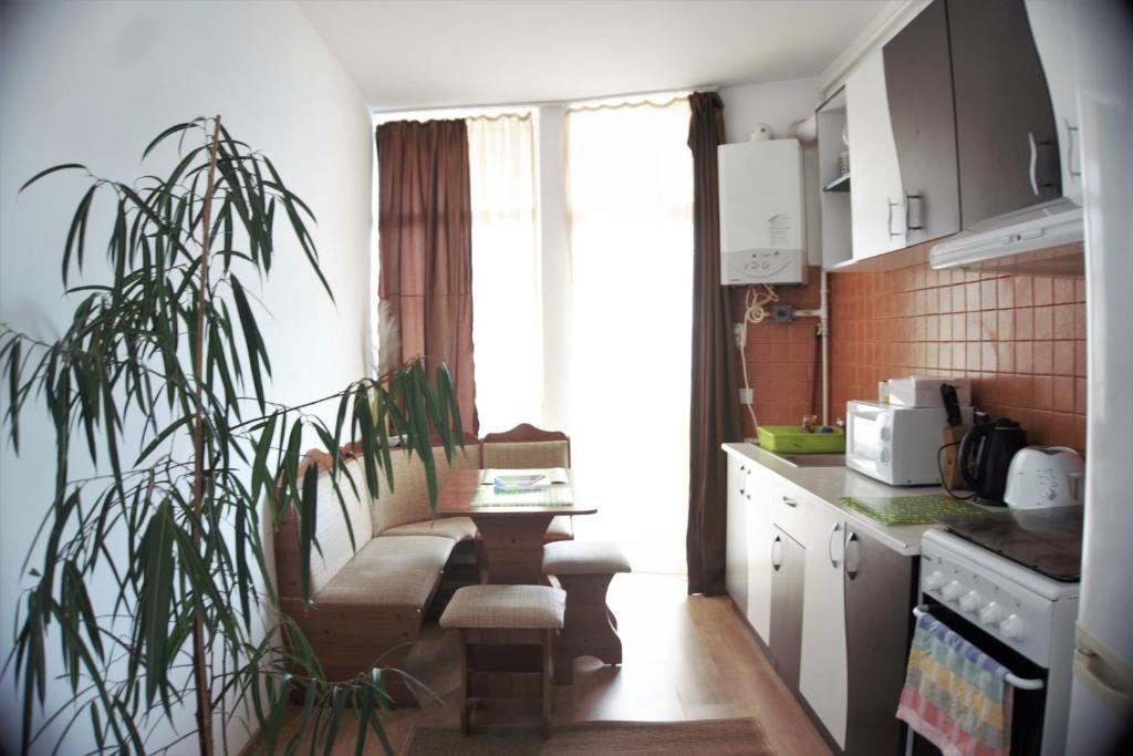 Observator Terrace Apartment - 两居室公寓