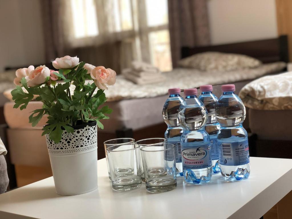 Domowe Zalesie - Triple Room With Balcony