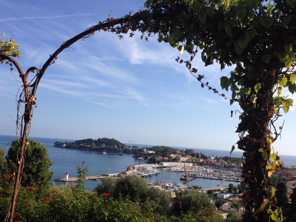 a view of a harbor with boats in the water at Au cœur de St Jean Cap Ferrat in Saint-Jean-Cap-Ferrat