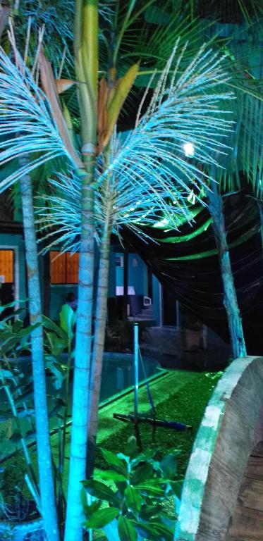 Arapiri guest house