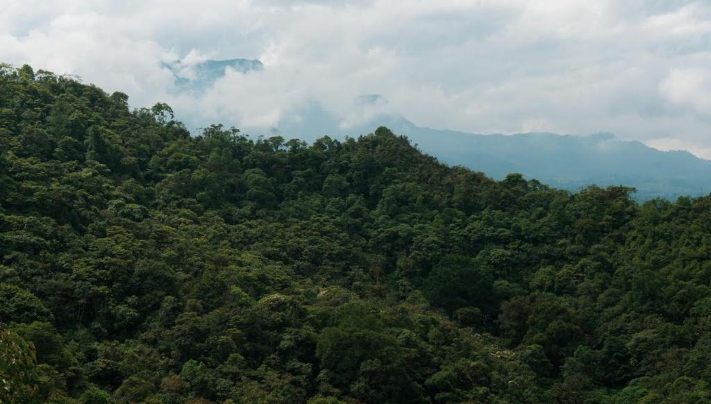 Landskap semula jadi dekat dengan perkhemahan mewah
